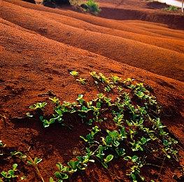 网传育碧在开发名为“开拓者”的PvPvE TPS射击游戏